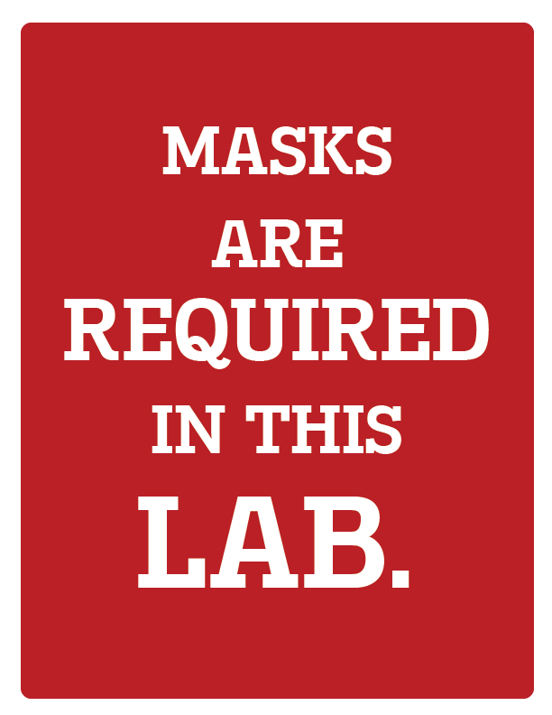 Lab Masks